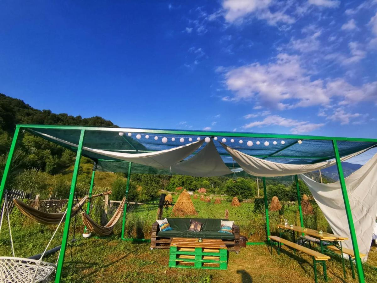 Luna Rock Glamping Brezoi - Blue Scai Hotell Exteriör bild